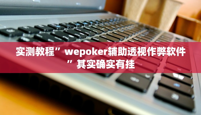 实测辅助”德扑之星作弊透视使用Ios”(详细开挂教程)
