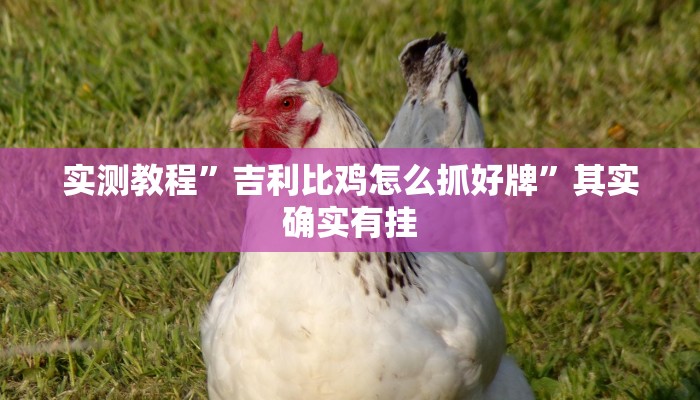 实测教程”血拼三张开挂透视辅助”其实确实有挂