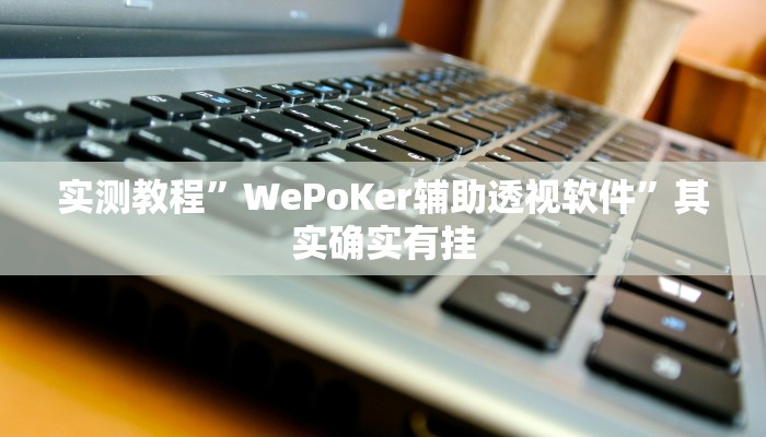实测教程”WePoKer辅助透视软件”其实确实有挂