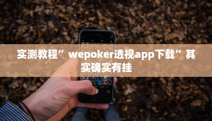 实测教程”wepoker透视app下载”其实确实有挂