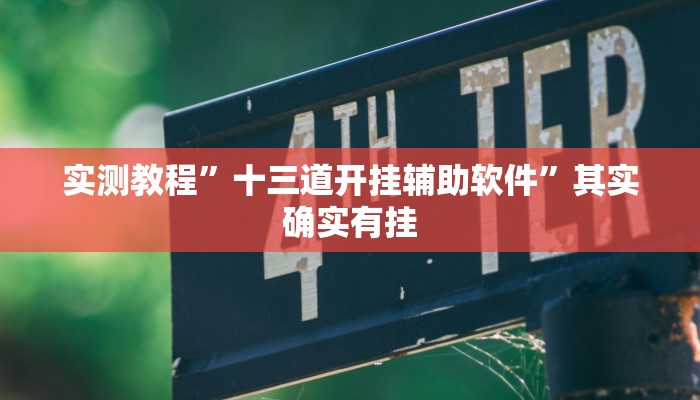 实测教程”十三道开挂辅助软件”其实确实有挂