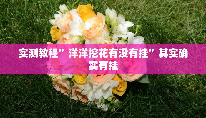 实测教程”洋洋挖花有没有挂”其实确实有挂