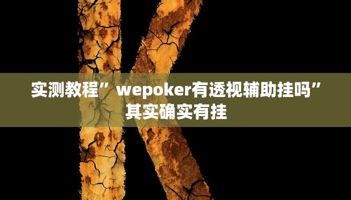 实测教程”wepoker有透视辅助挂吗”其实确实有挂