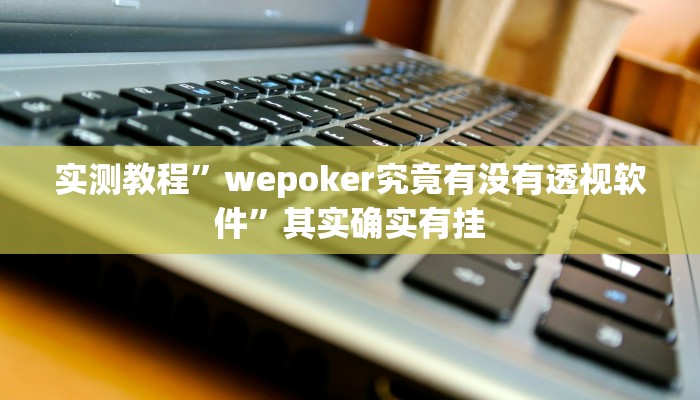 实测教程”wepoker究竟有没有透视软件”其实确实有挂