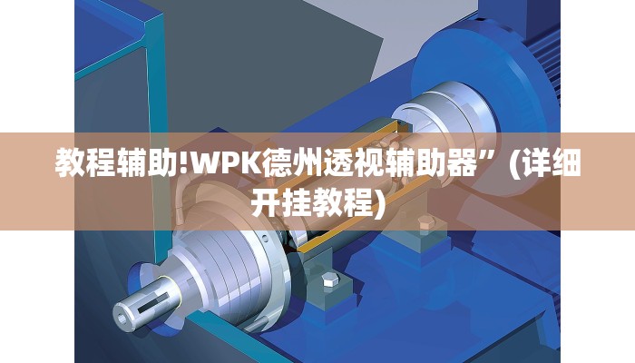 实测教程”德州wepoker助赢神器”其实确实有挂