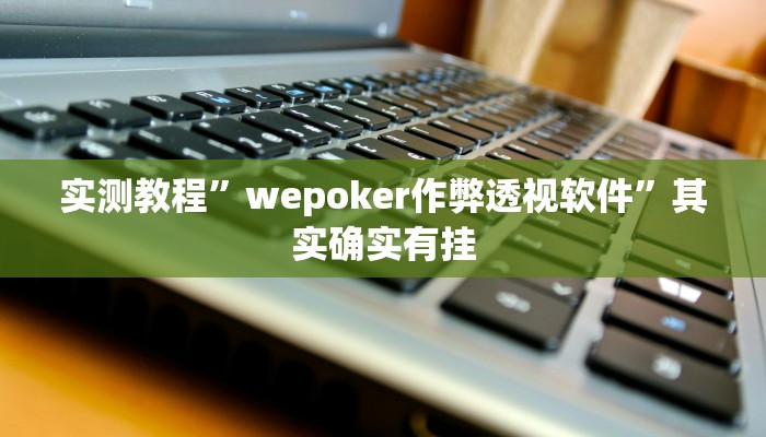 实测教程”wepoker作弊透视软件”其实确实有挂