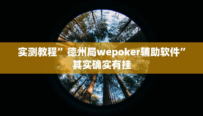 实测教程”德州局wepoker辅助软件”其实确实有挂