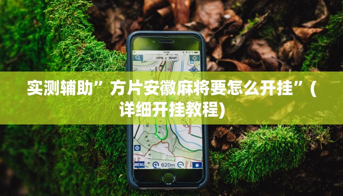 实测辅助”方片安徽麻将要怎么开挂”(详细开挂教程)