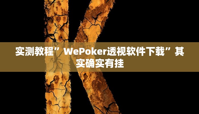 实测教程”WePoker透视软件下载”其实确实有挂