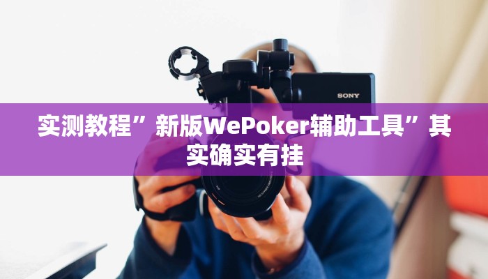实测教程”新版WePoker辅助工具”其实确实有挂