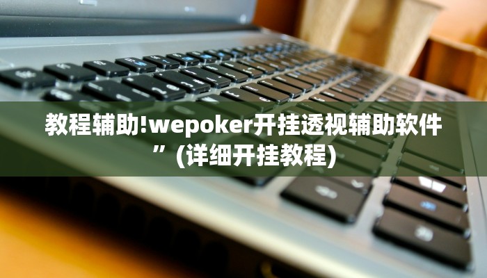 教程辅助!wepoker开挂透视辅助软件”(详细开挂教程)