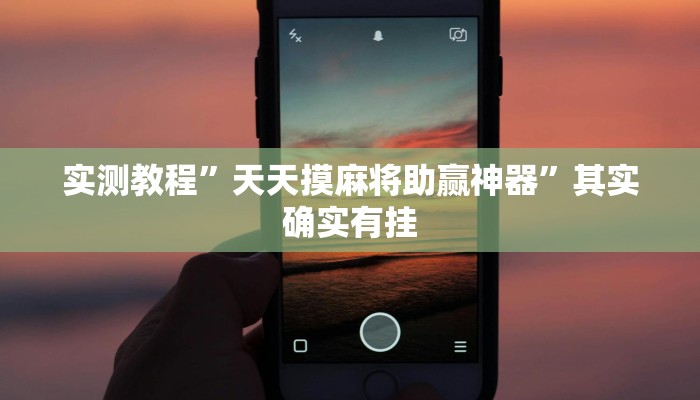 教程辅助!胜奕填大坑透视软件”(详细开挂教程)