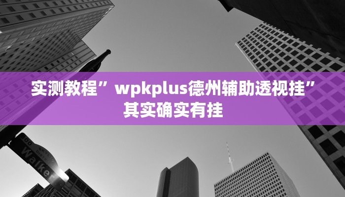 实测教程”wpkplus德州辅助透视挂”其实确实有挂