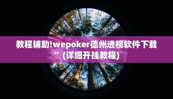 教程辅助!wepoker德州透视软件下载”(详细开挂教程)