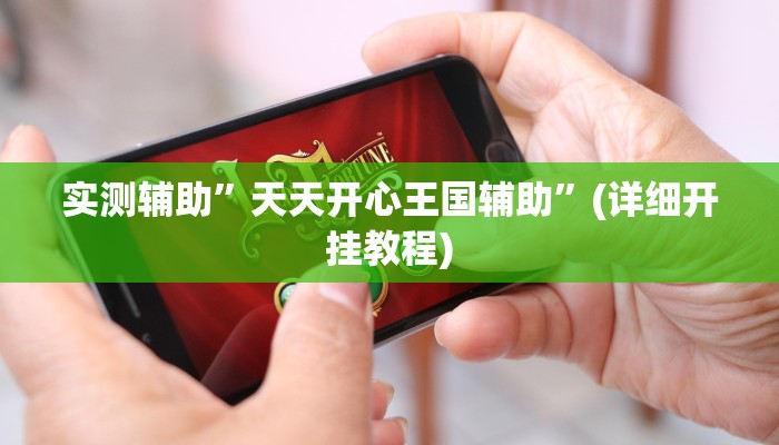 实测辅助”天天开心王国辅助”(详细开挂教程)