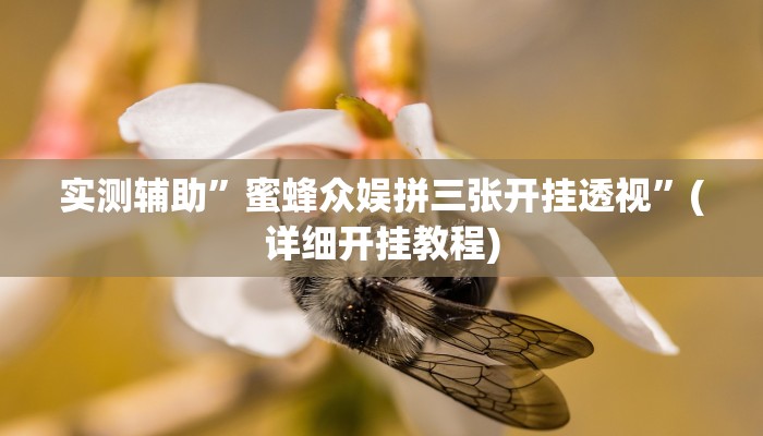 实测辅助”蜜蜂众娱拼三张开挂透视”(详细开挂教程)