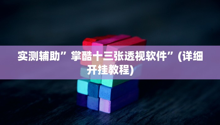 实测辅助”掌酷十三张透视软件”(详细开挂教程)