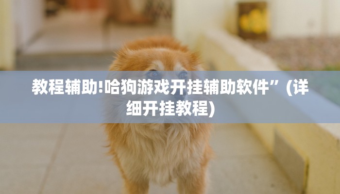 教程辅助!哈狗游戏开挂辅助软件”(详细开挂教程)