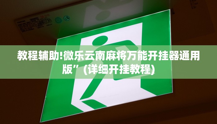 教程辅助!微乐云南麻将万能开挂器通用版”(详细开挂教程)