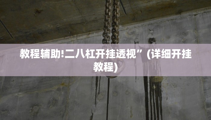 教程辅助!二八杠开挂透视”(详细开挂教程)