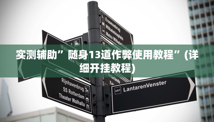 实测辅助”随身13道作弊使用教程”(详细开挂教程)