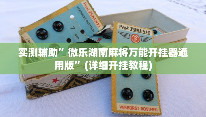 实测辅助”微乐湖南麻将万能开挂器通用版”(详细开挂教程)