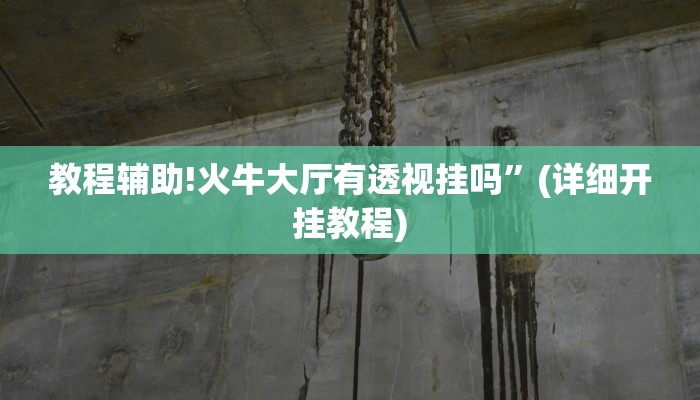 实测辅助”wepoker透视挂作弊挂”(详细开挂教程)