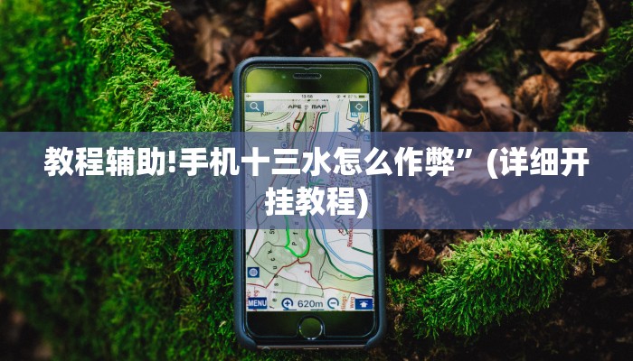 教程辅助!手机十三水怎么作弊”(详细开挂教程)
