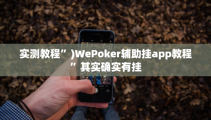 实测教程”)WePoker辅助挂app教程”其实确实有挂