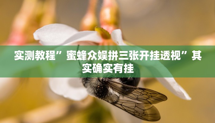 实测教程”蜜蜂众娱拼三张开挂透视”其实确实有挂
