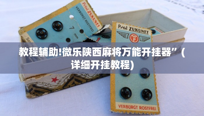 教程辅助!微乐陕西麻将万能开挂器”(详细开挂教程)