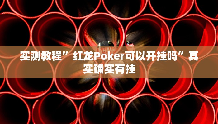 实测教程”红龙Poker可以开挂吗”其实确实有挂
