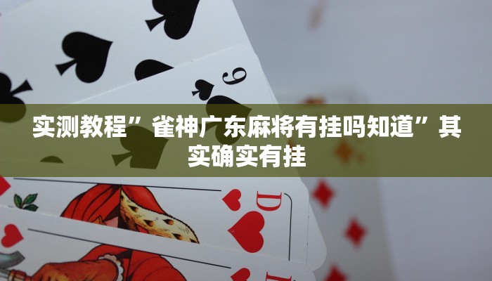 实测教程”wpk俱乐部辅助作弊挂透视软件”其实确实有挂