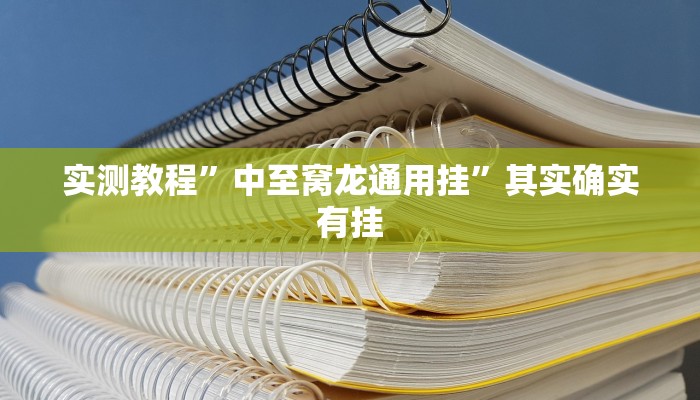 实测教程”中至窝龙通用挂”其实确实有挂