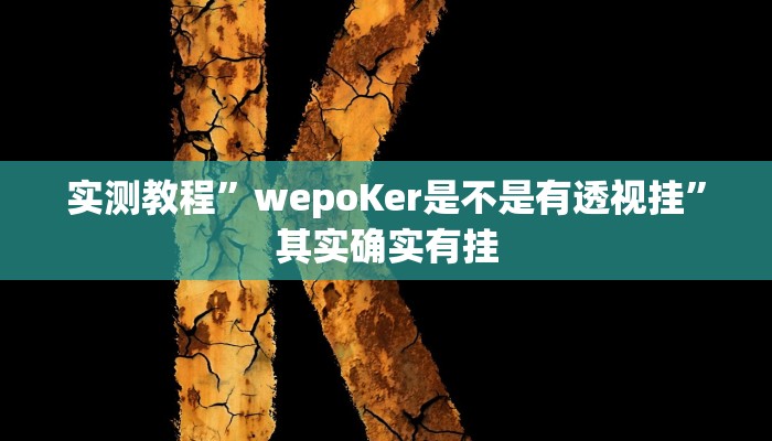 实测教程”wepoKer是不是有透视挂”其实确实有挂