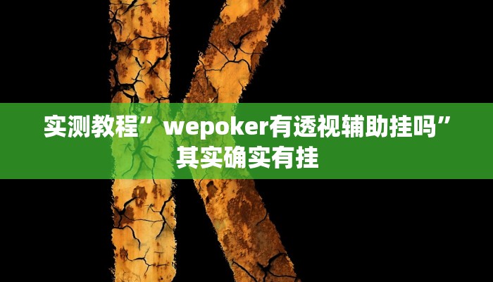 实测教程”wepoker有透视辅助挂吗”其实确实有挂