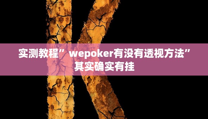 实测辅助”加个菜十三水开挂神器”(详细开挂教程)