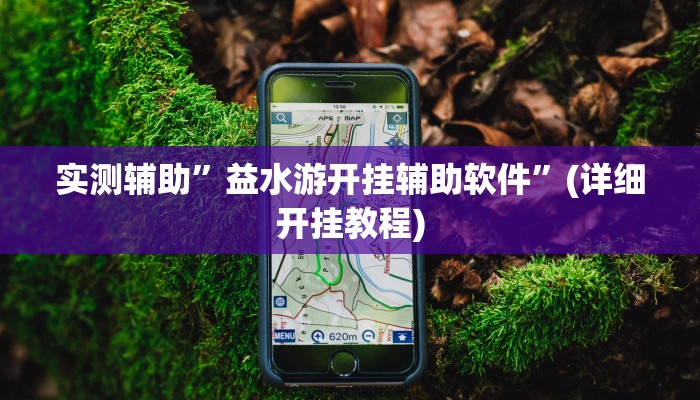 实测辅助”益水游开挂辅助软件”(详细开挂教程)