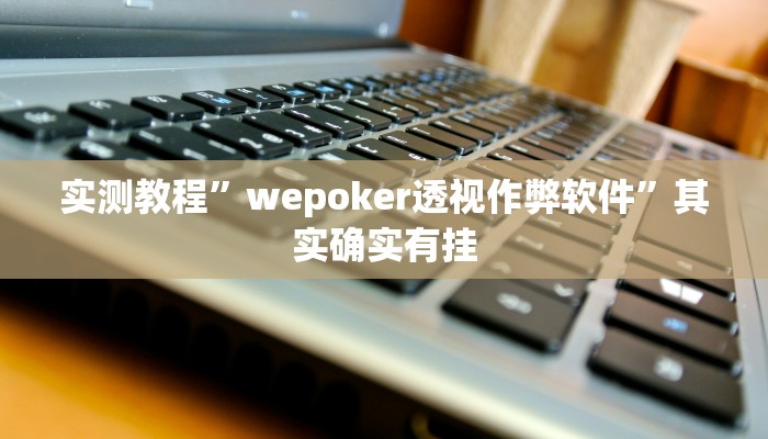 实测教程”wepoker透视作弊软件”其实确实有挂
