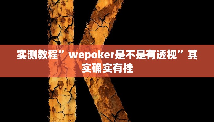 实测教程”wepoker是不是有透视”其实确实有挂