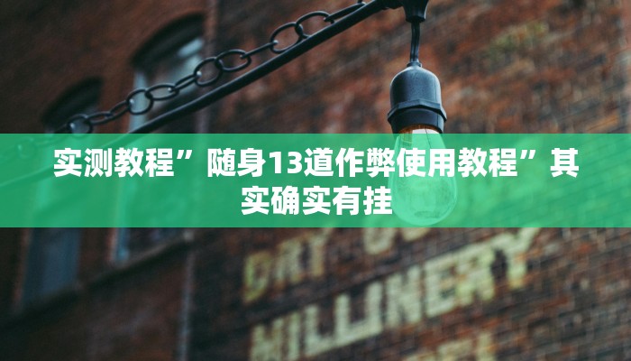 实测教程”随身13道作弊使用教程”其实确实有挂