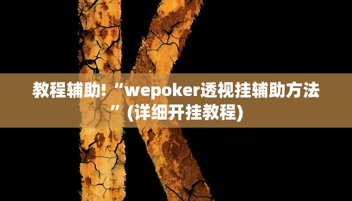 教程辅助!“wepoker透视挂辅助方法”(详细开挂教程)