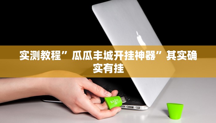 实测教程”瓜瓜丰城开挂神器”其实确实有挂