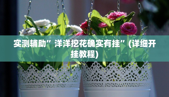 实测辅助”洋洋挖花确实有挂”(详细开挂教程)