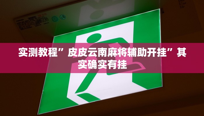 实测教程”皮皮云南麻将辅助开挂”其实确实有挂