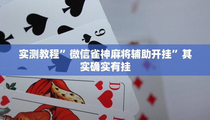 实测教程”微信雀神麻将辅助开挂”其实确实有挂