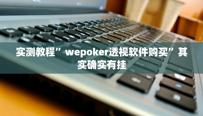 实测教程”wepoker透视软件购买”其实确实有挂