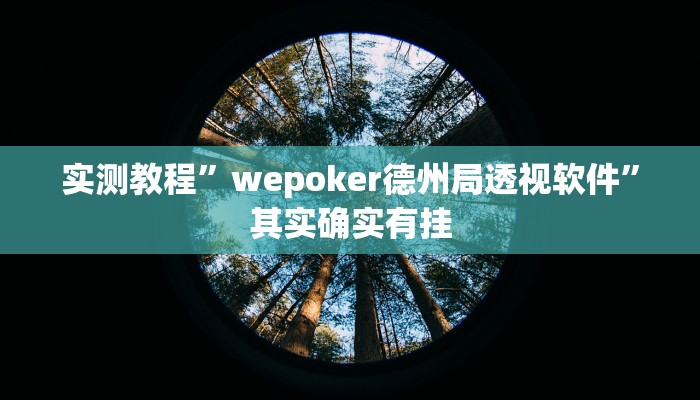 实测教程”wepoker德州局透视软件”其实确实有挂