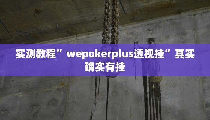 实测教程”wepokerplus透视挂”其实确实有挂