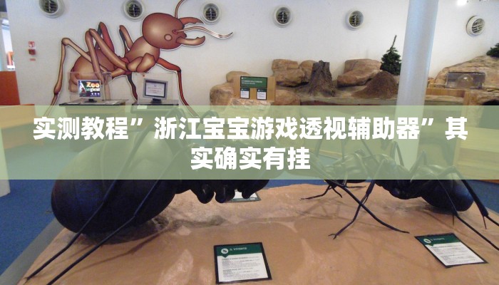 实测教程”浙江宝宝游戏透视辅助器”其实确实有挂